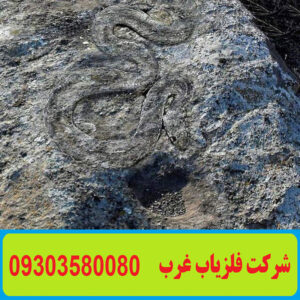 نشانه مار در گنج یابی