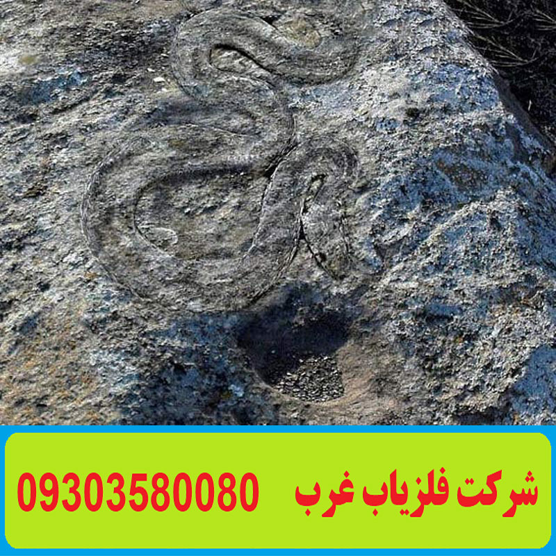 نشانه مار در گنج یابی