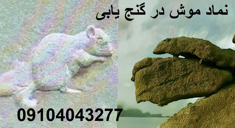 نماد موش در گنج یابی