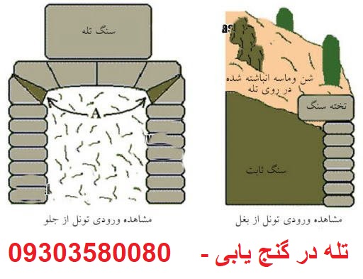 تله در گنج یابی