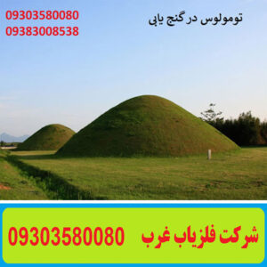 تومولوس در گنج یابی