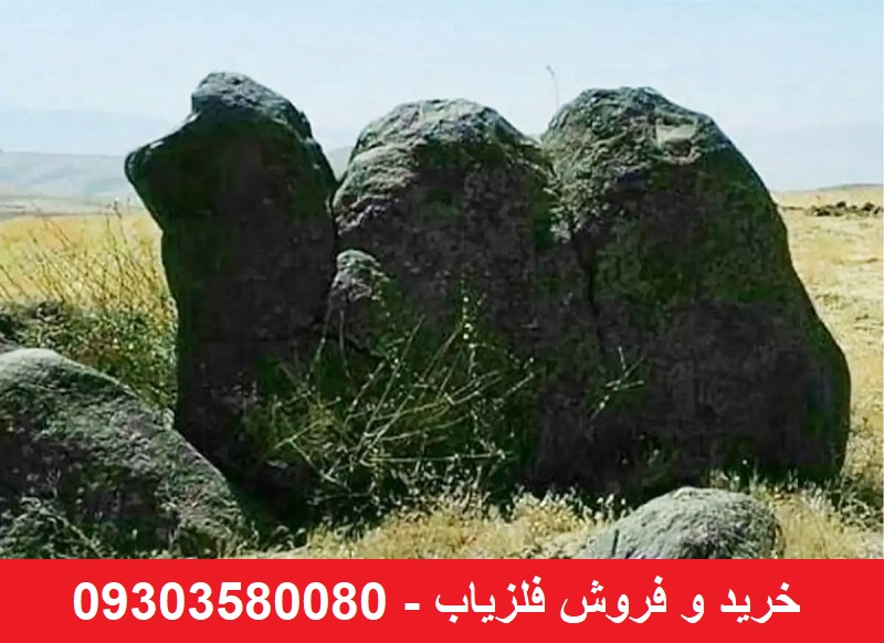 نماد شتر در گنج یابی