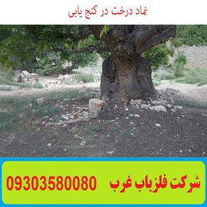 نماد درخت در گنج یابی
