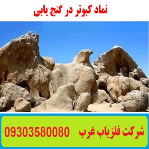 نماد کبوتر در گنج یابی