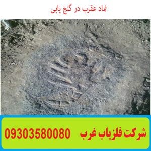 نماد عقرب در گنج یابی