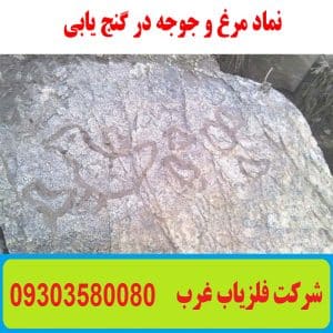 نماد مرغ و جوجه در گنج یابی
