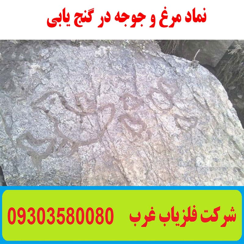 نماد مرغ و جوجه در گنج یابی
